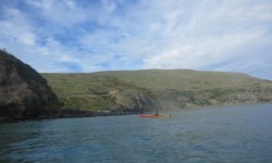 Taiaroa Head