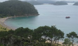 Croisière The Rock, Bay of Islands