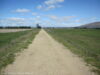 otago-central-rail-trail