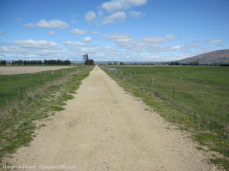 otago rail trail cost