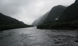 Doubtful Sound en kayak