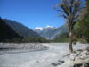 franz-josef-glacier