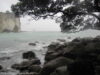 cathedral-cove-hahei