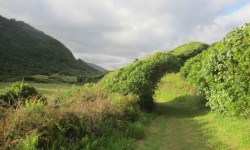 Heaphy track : randonnée