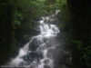 cascade-sur-la-route-de-milford-sound