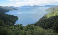 Queen Charlotte track : randonnée