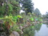 rainbow-springs-kiwi-wildlife-park-rotorua