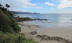 Rakiura track