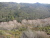 taieri-gorge-en-train