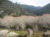 taieri-gorge-en-train