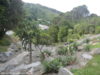 jardins-botaniques-wellington